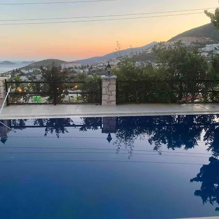 Lady Detached With Sea View