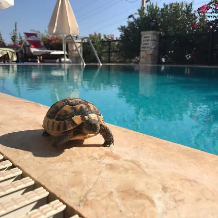 Lady Detached With Sea View Willa Kalkan