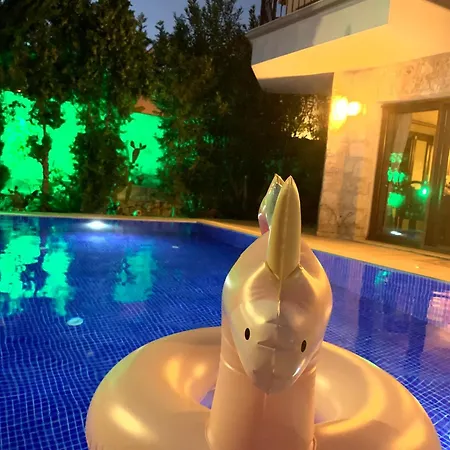 Willa Lady Detached With Sea View *