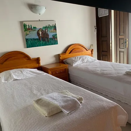 Lady Detached With Sea View