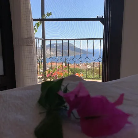 Lady Detached With Sea View