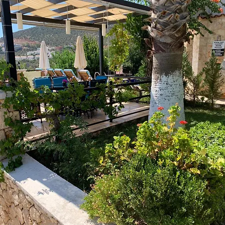 Lady Detached With Sea View Villa