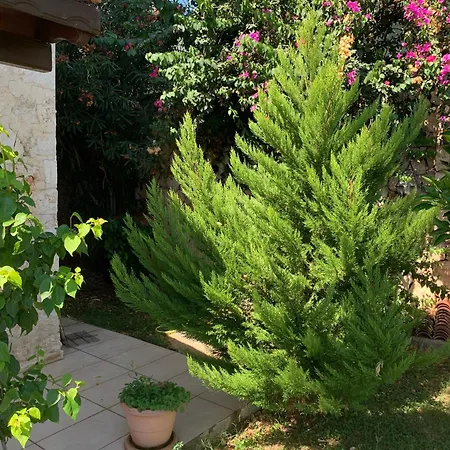 Villa Lady Detached With Sea View