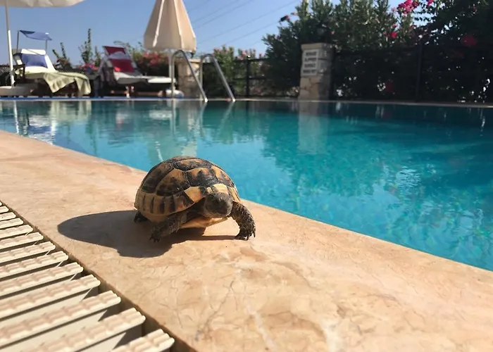 Lady Detached With Sea View Villa Kalkan